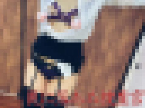 【再販】罠に落ちた捜査官