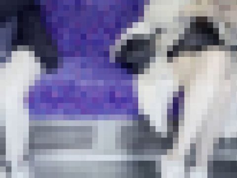 【12/16まで顔出し】ありえんくらいパンツ見えてる脚組みJD