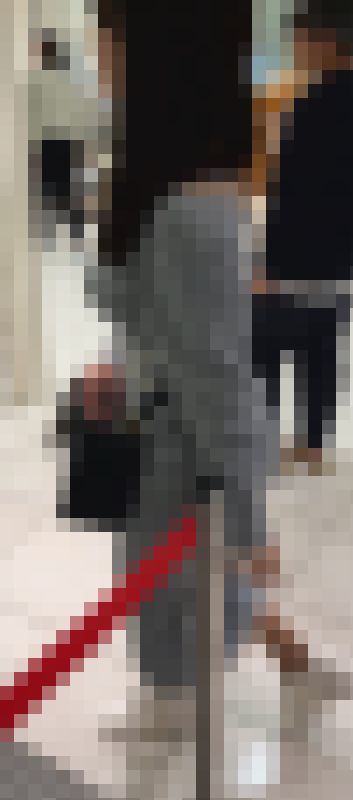 【再販】《4K・高画質》 No.1228「上玉JD!トップクラスに可愛い顔に美BODY、更にTバック」