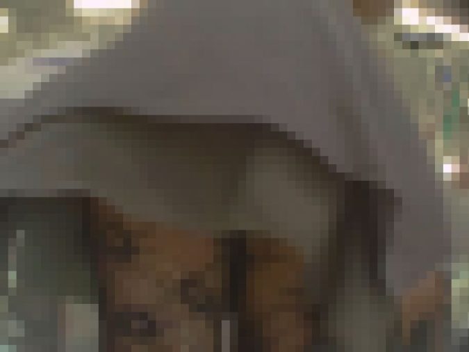 【再販】★Dogeyes★完全オリジナル162 大人の網と純白のPは好きですか?
