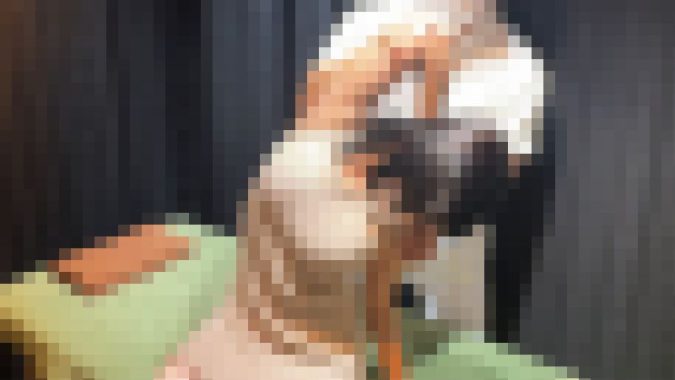 【整体師の暴挙】施術台にバンド固定 乳首絶頂で放心状態の美女 追いうち生挿入から非情の中出し